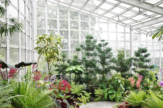 National Orchid Garden