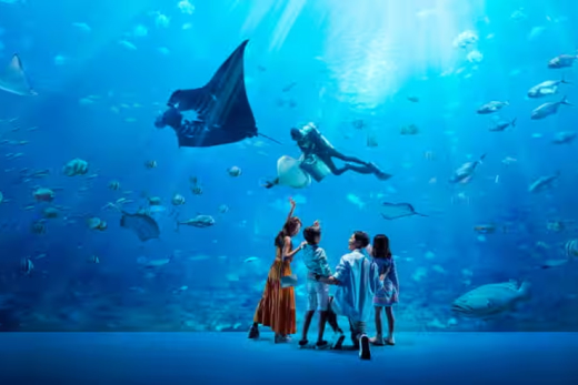 S.E.A. Aquarium